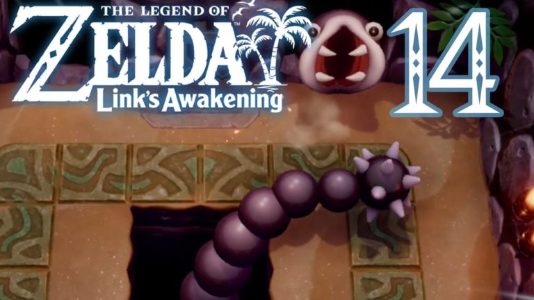 #14  – The Legend of Zelda Link's Awakening – Poisson-Chat
