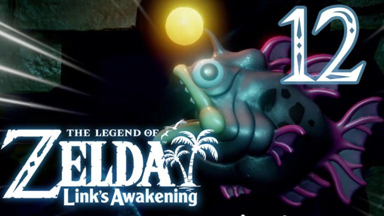 #12  –  The Legend of Zelda Link's Awakening   Abîme du Poisson, Palmes et BEAUDROIE
