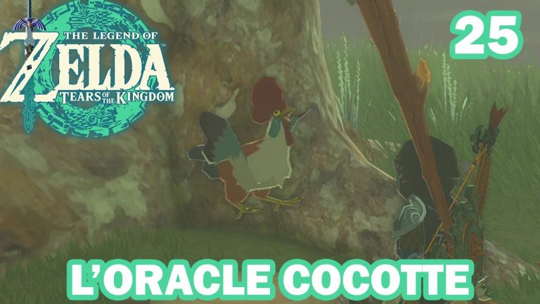 ⚔️ Zelda: Tears of the Kingdom Let's Play – L'Oracle Cocotte 25