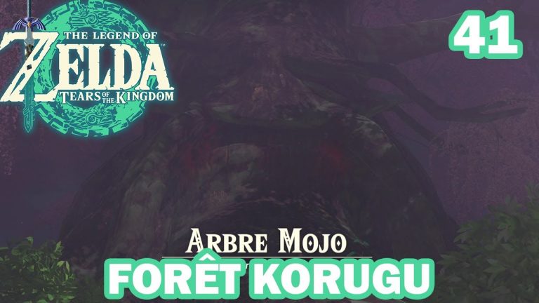 ⚔️ Zelda: Tears of the Kingdom Let's Play – L'entrée de la forêt Korugu 41
