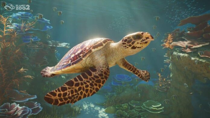 Planet-Zoo-2-6-889x500-1