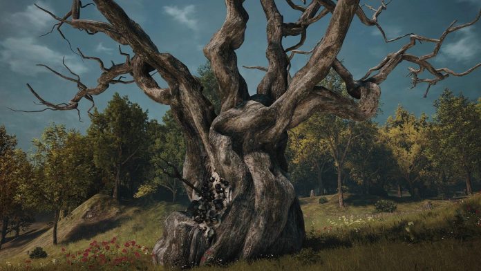 soulframe-tous-les-arbres-mondes